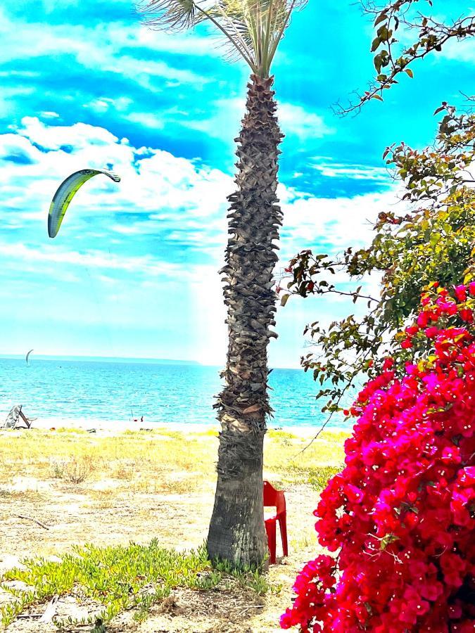 Windsurf Beach Front Torre Grande Zewnętrze zdjęcie