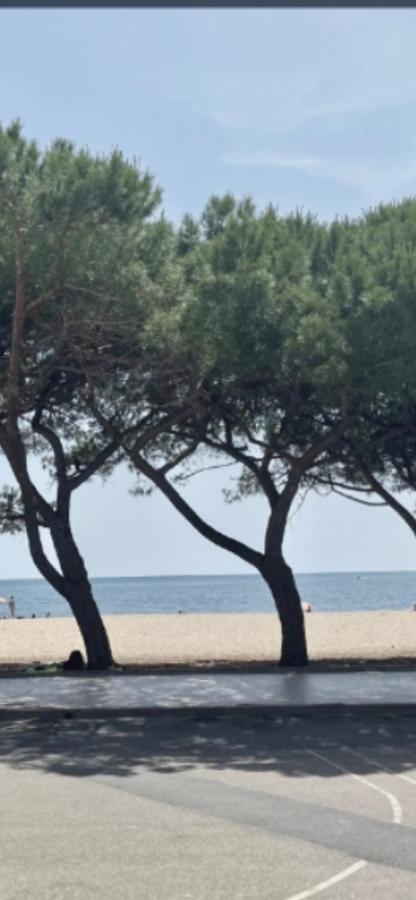 Windsurf Beach Front Torre Grande Zewnętrze zdjęcie