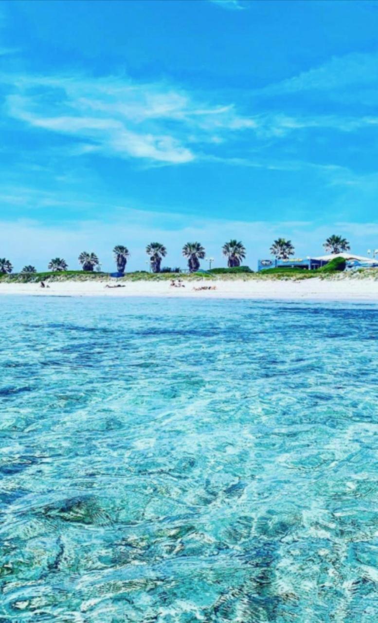 Windsurf Beach Front Torre Grande Zewnętrze zdjęcie